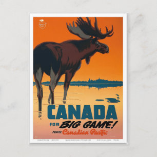 Vintage Canada Travel Retro Postcard