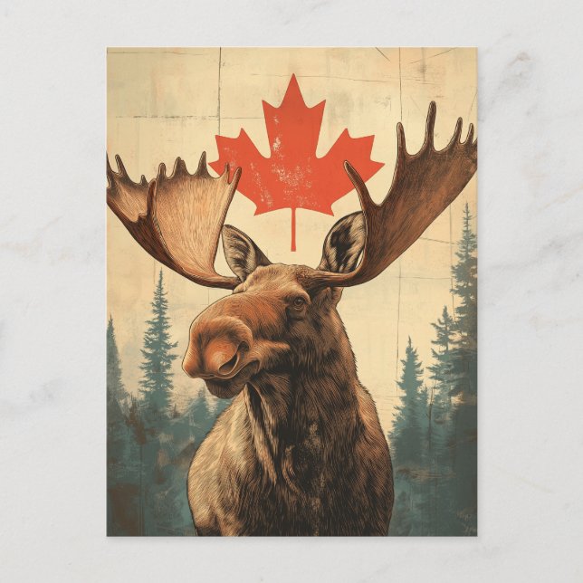 Vintage Canadian elk Postcard (Front)