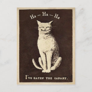 Vintage Canary Cat Postcard