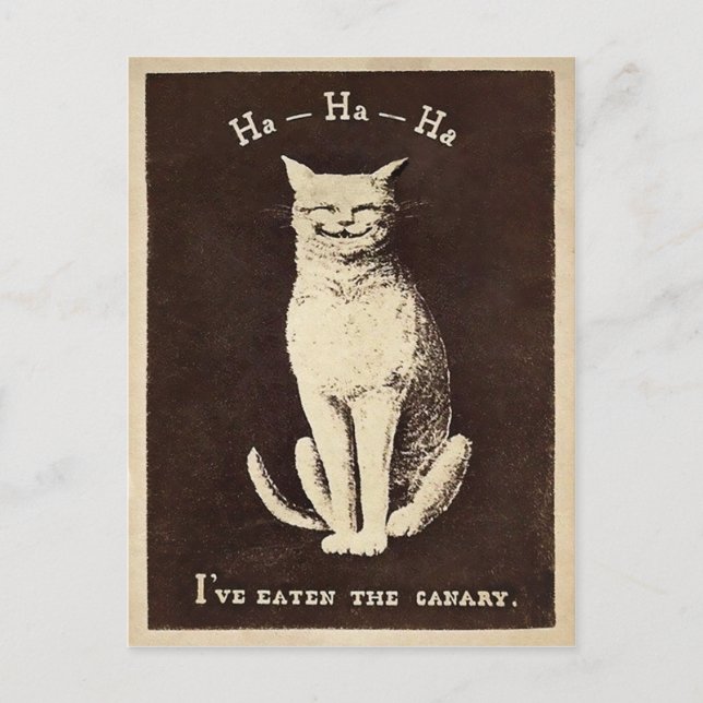 Vintage Canary Cat Postcard (Front)