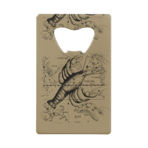 Vintage Cancer Constellation Map Hevelius 1690