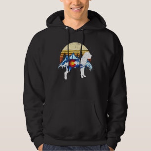 Vintage Cane Corso Dog Colorado Flag Sunset Retro Hoodie