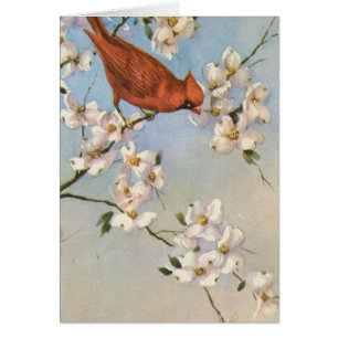 Vintage Cardinal