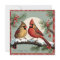 Vintage Cardinal Birds Family Holly Christmas Card