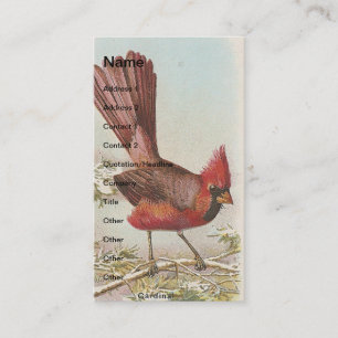 Vintage Cardinal Business Card