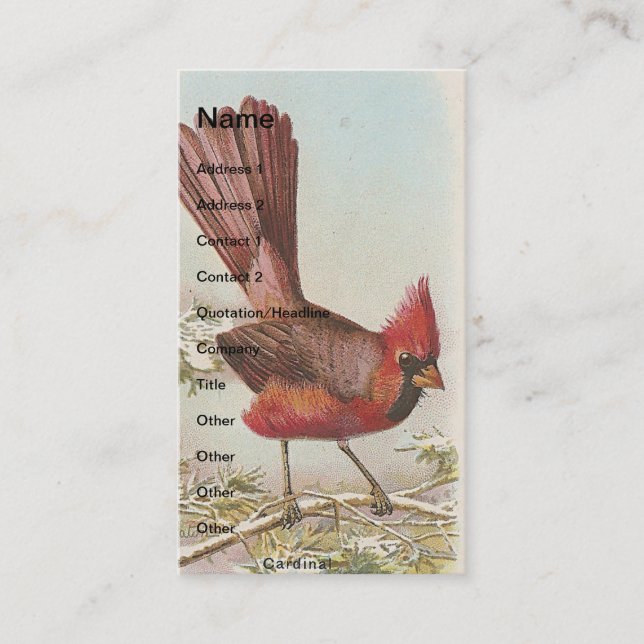 Vintage Cardinal Business Card (Front)