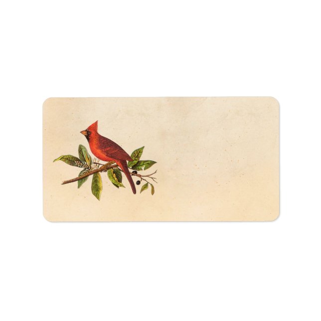 Vintage Cardinal Song Bird Illustration - 1800's Label (Front)