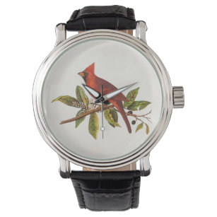 Vintage Cardinal Song Bird Illustration - 1800's Watch