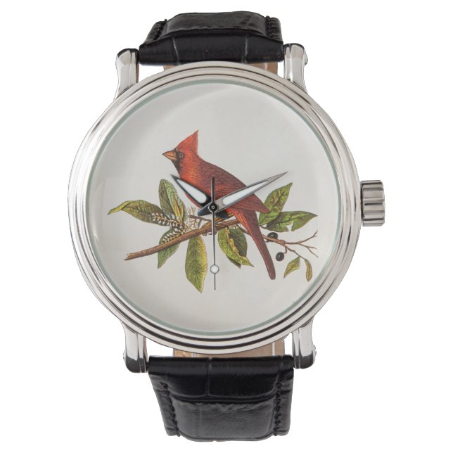 Vintage Cardinal Song Bird Illustration - 1800's Watch (Front)