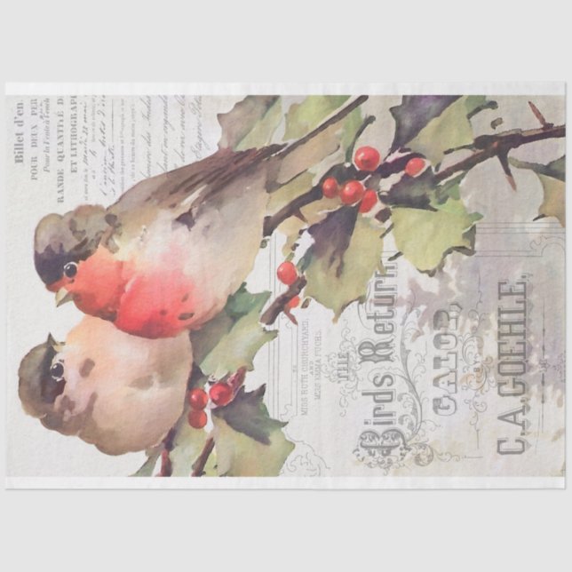 Vintage Cardinals with Ephemera Decoupage Tissue P Paper (Front)