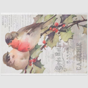 Vintage Cardinals with Ephemera Decoupage Tissue P Tissue Paper