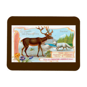 Vintage Caribou (Reindeer) and Arctic Fox Magnet