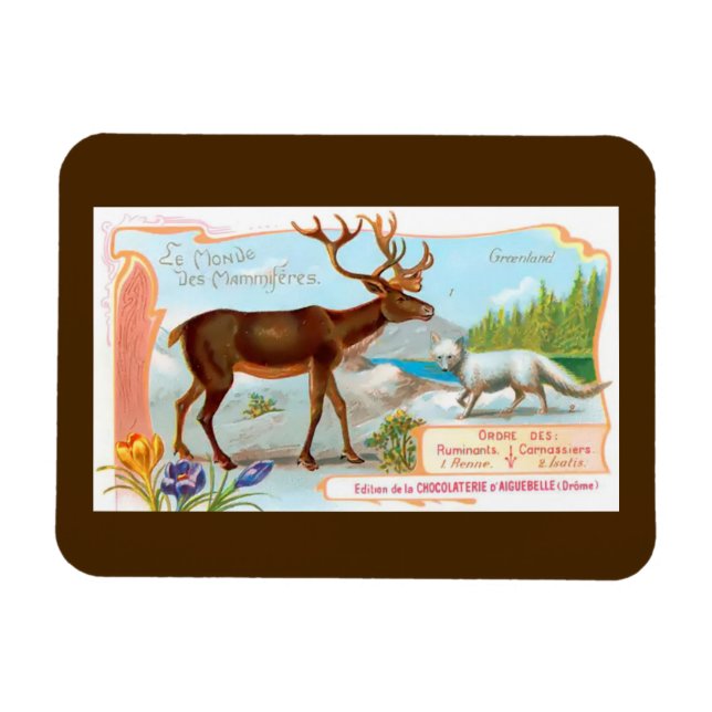 Vintage Caribou (Reindeer) and Arctic Fox Magnet (Horizontal)