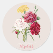 Vintage Carnation Floral illustration