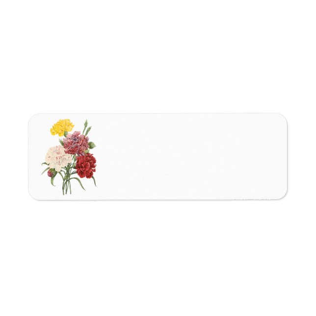 Vintage Carnations Dianthus Garden Flowers Redoute (Front)