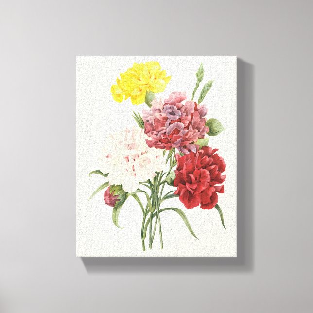 Vintage Carnations Dianthus Garden Flowers Redoute Canvas Print (Front)