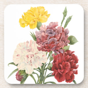 Vintage Carnations Dianthus Garden Flowers Redoute Coaster