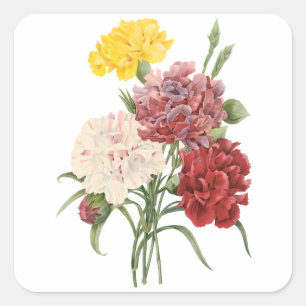 Vintage Carnations Dianthus Garden Flowers Redoute Square Sticker