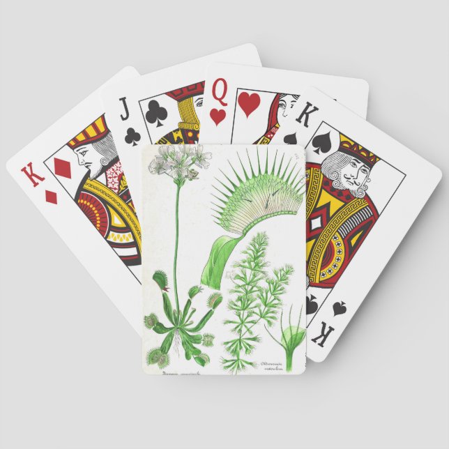 Vintage Carnivorous Plant Print Playing Cards (Back)