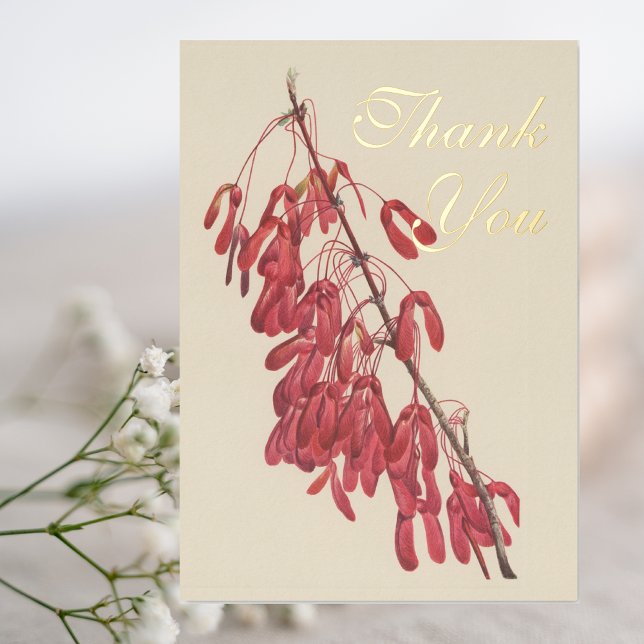 Vintage Carolina Maple Botanical Thank You (Creator Uploaded)
