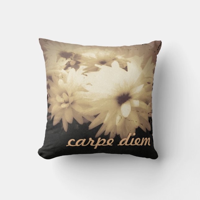 Vintage Carpe Diem Pillow (Front)