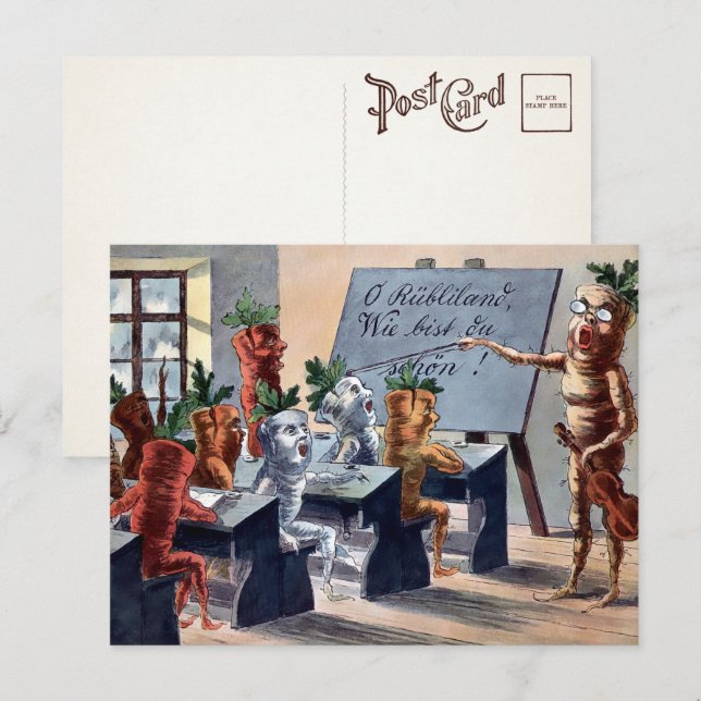 Vintage Carrots Music Class Postcard  (Front/Back)