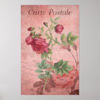 Vintage Carte Postale Deep & Pale Pink Roses