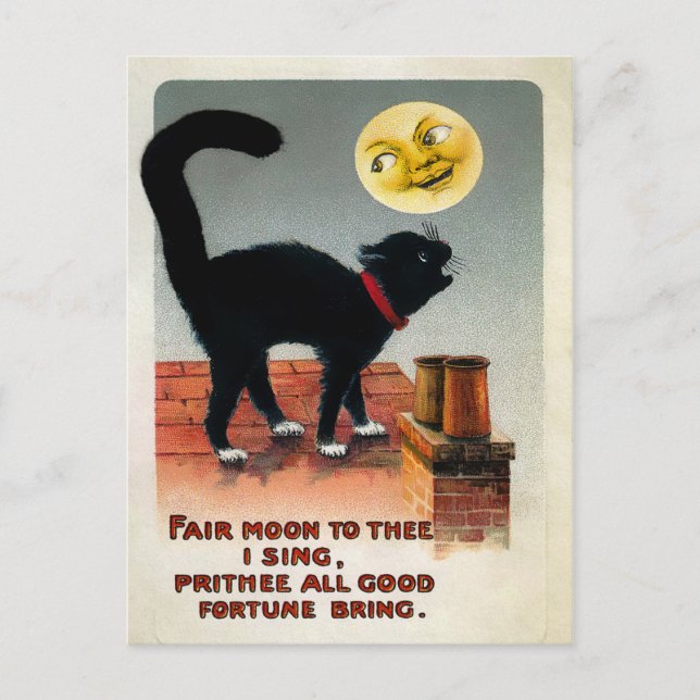 Vintage Cat and Moon Postcard (Front)