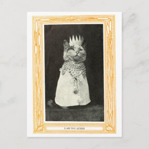 Vintage Cat as Queen Book Illustration Postcard