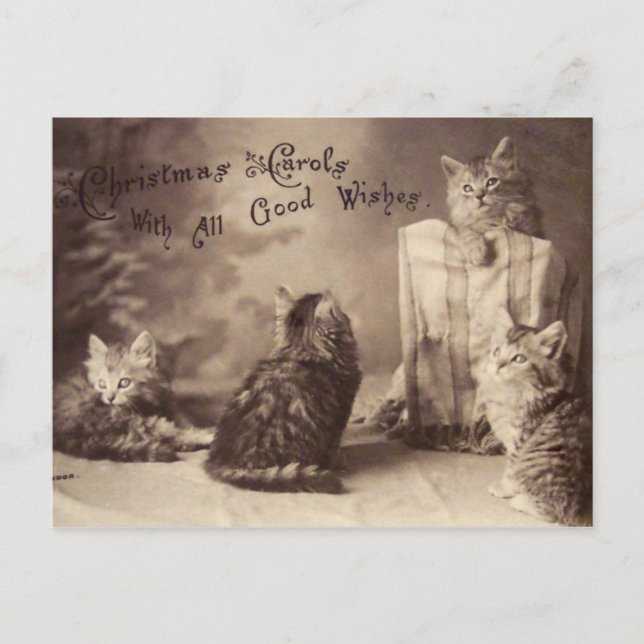 Vintage Cat Christmas Postcard (Front)