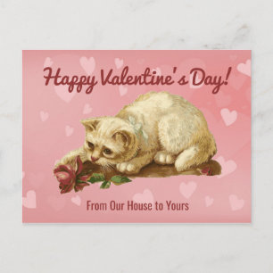 Vintage Cat Happy Valentines Day  Postcard