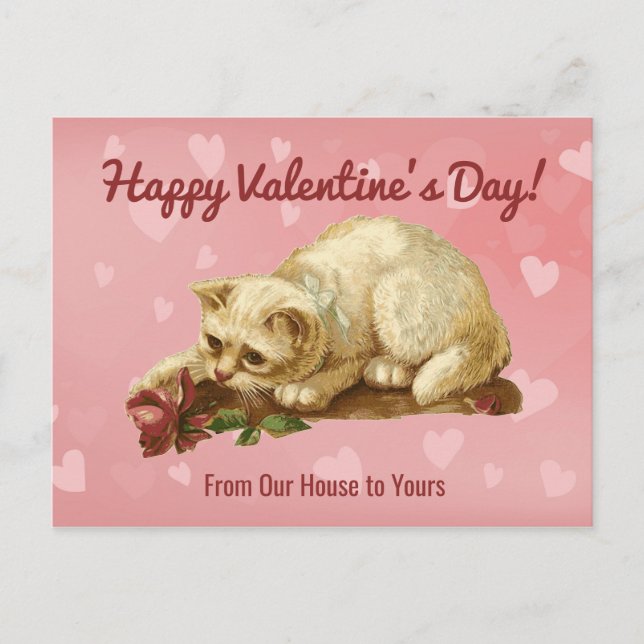Vintage Cat Happy Valentines Day  Postcard (Front)