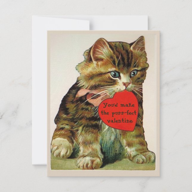 Vintage cat holding a valentine greeting card (Front)