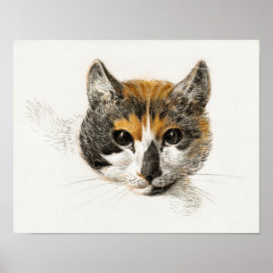 Vintage Cat Illustration Poster
