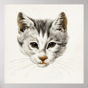 Vintage Cat Illustration Poster