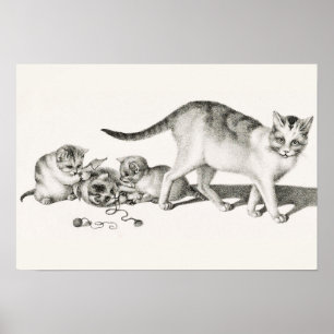 Vintage Cat Illustration Poster