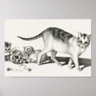 Vintage Cat Illustration Poster