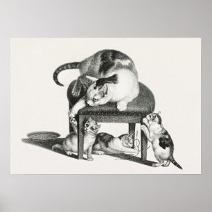 Vintage Cat Illustration Poster