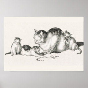 Vintage Cat Illustration Poster