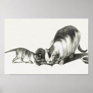 Vintage Cat Illustration Poster