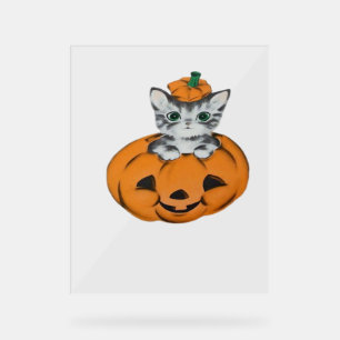Vintage cat in a pumpkin Classic T-Shirt Acrylic Sign