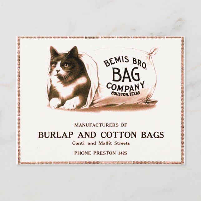 Vintage Cat in Bag Postcard (Front)