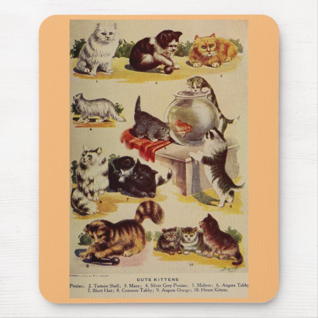 Vintage cat kitten breed chart cute mouse mat (Front)