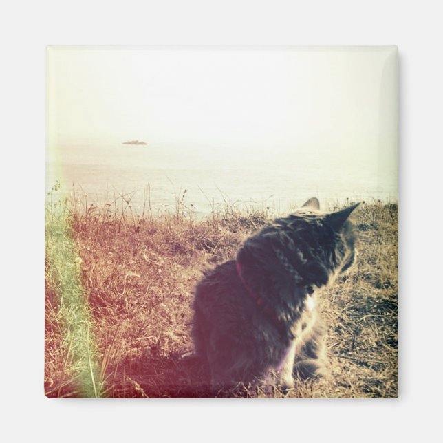 Vintage Cat Magnet (Front)