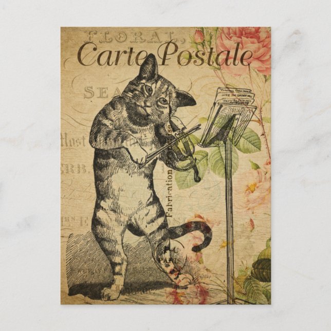 vintage cat playing fiddle postcard (Front)