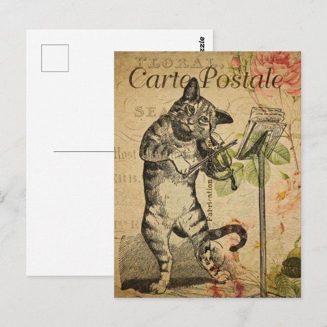 Vintage Cat Playing Violin Postcard (Front/Back)