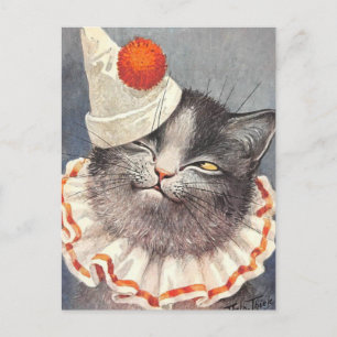 Vintage Cat Postcard