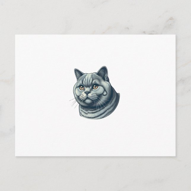 vintage cat postcard (Front)