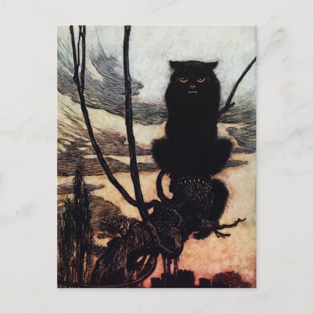 Vintage Cat Postcard (Front)