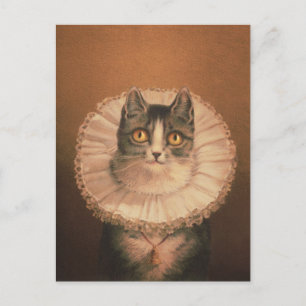 Vintage Cat Postcard